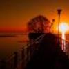 foto do perfil thniteroi87